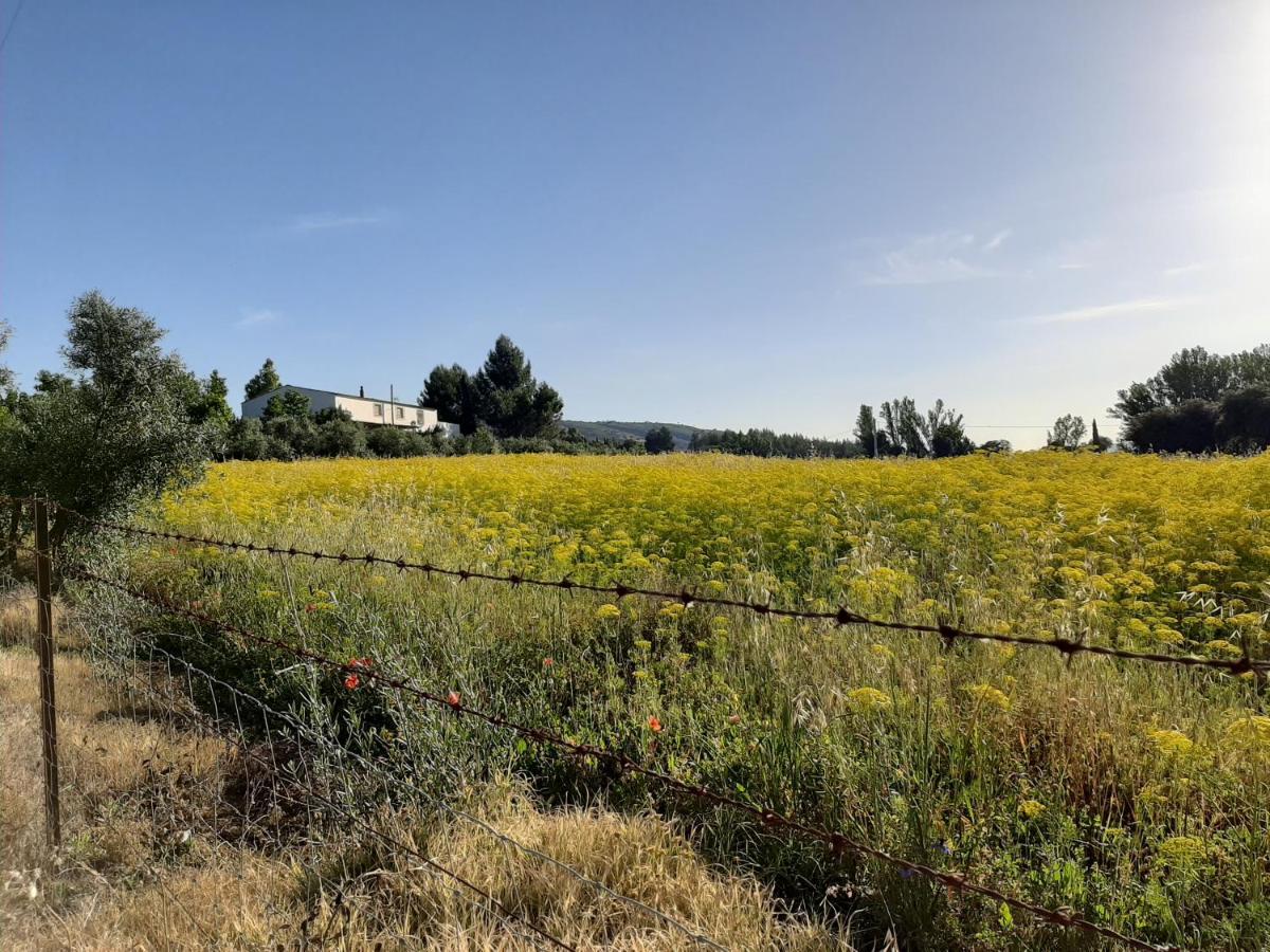 Huerta La Laja,Casa Grande Pensionat Ronda Eksteriør billede