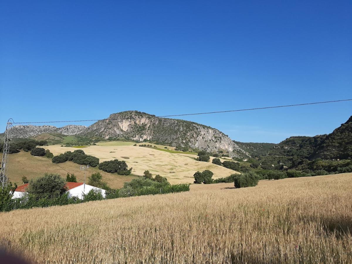 Huerta La Laja,Casa Grande Pensionat Ronda Eksteriør billede
